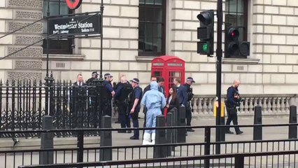 Man Detained by Police After Whitehall Security Incident