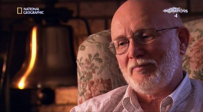 Scena del Disastro - Collisione Ferroviaria [Il Disastro di Hinton]