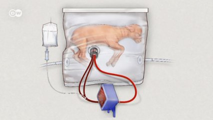 ABD'de yapay rahim üretildi