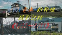 貨物&電車 新幹線撮影記録《9/22～9/29》12･14系甲種輸送、 313系J7編成の回送、EF65-2139のムド回送など