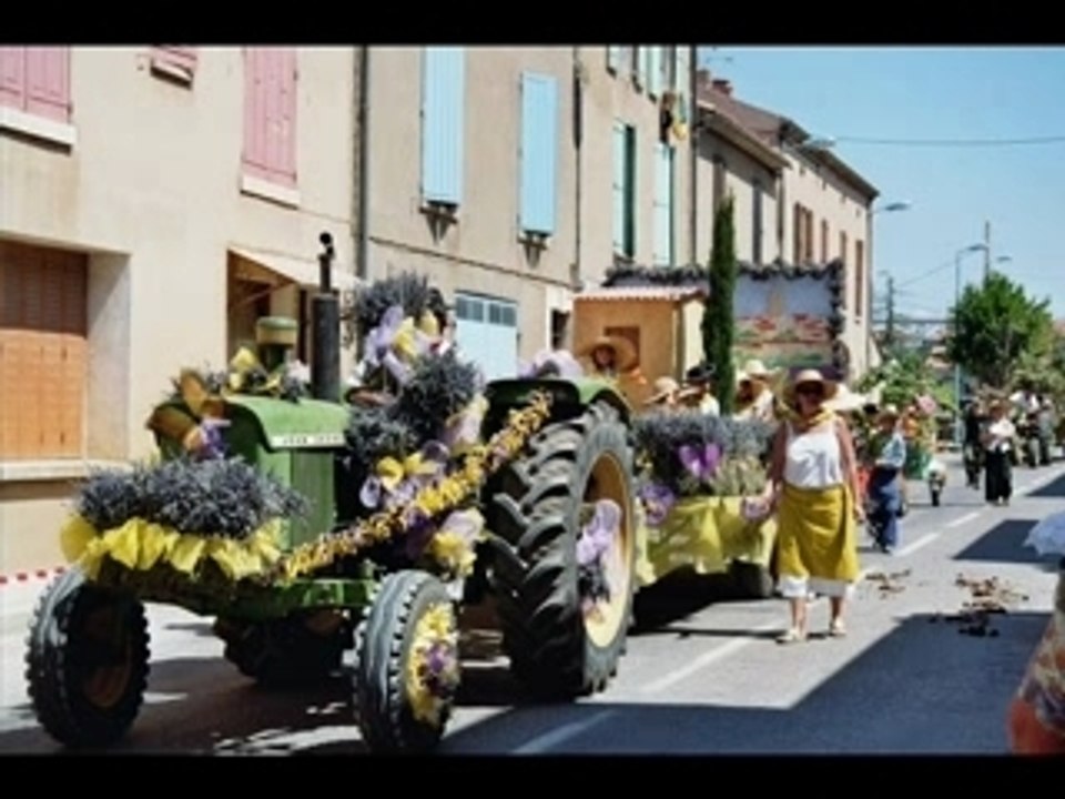 PUIMOISSON CORSO 2006
