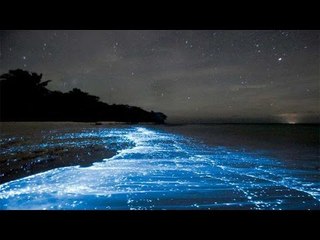 Mumbai's Juhu Beach water light up with neon lights