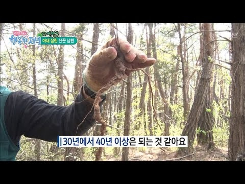 산속의 보물! ‘하수오’ 발견! 효능은? [행복한 저녁] 13회 20170426