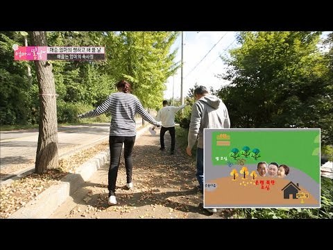 봄날지기들! 은행 밟을락 말락! [엄마의 봄날] 64회 20161030