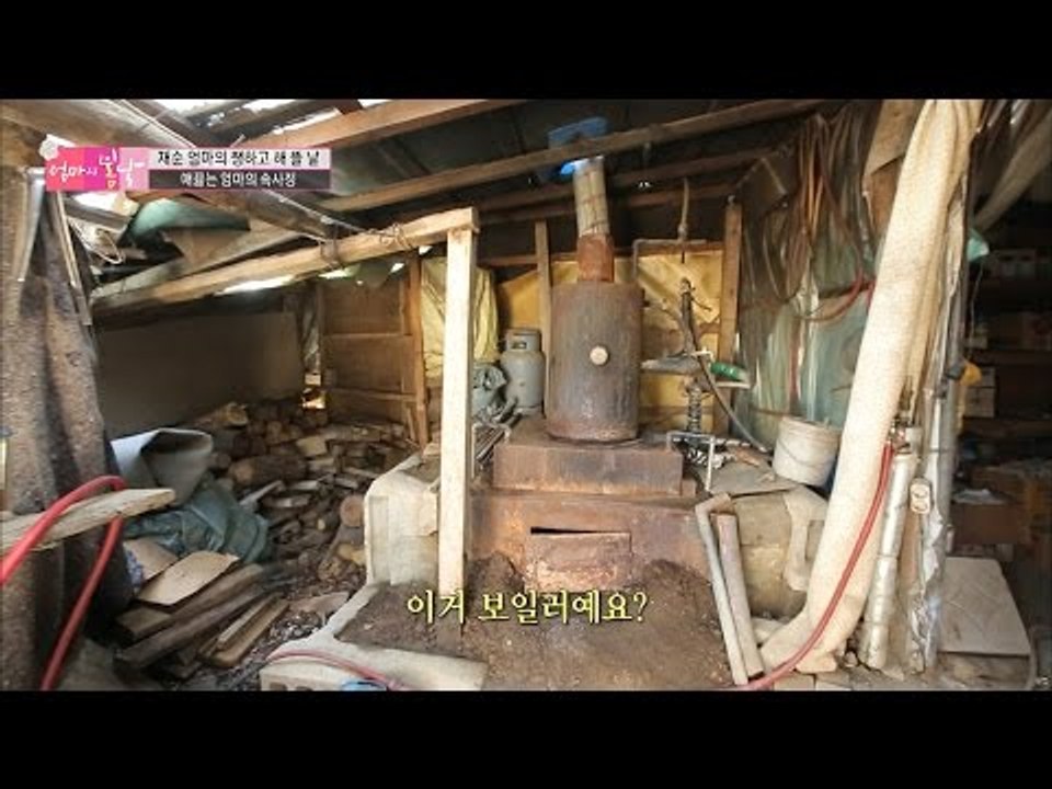 경악! 비닐하우스 안에 집이! [엄마의 봄날] 64회 20161030