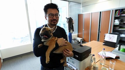 Les chiens sont admis au cabinet de la secrétaire d'État bruxelloise Bianca Debaets