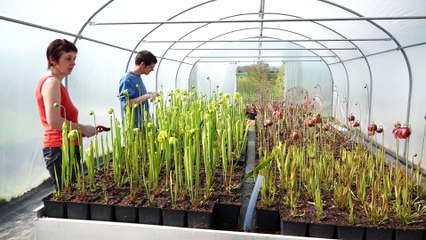 Le JT breton. L’édition du mercredi 26 avril 2017 :  la campagne du second tour est lancée !