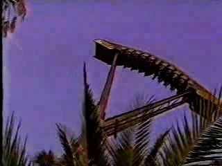 T.G. Lee / New Phoenix at Busch Gardens