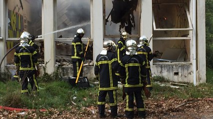 Feu à l'ancienne école de la forêt et de l'environnement