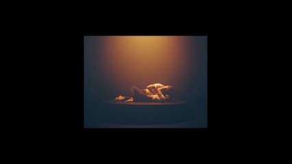 Philippe B - Rouge-gorge