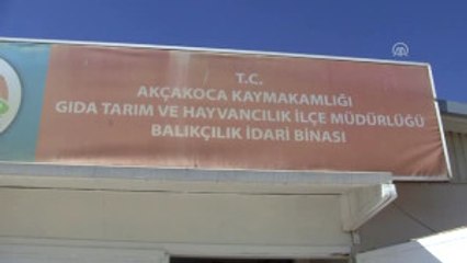 10 Yunus Ölüsü Karaya Vurdu