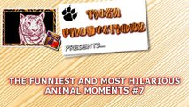 Super fun and humorous ANIMAL videos #7 - Funny animal compilation - Watch & laugh!