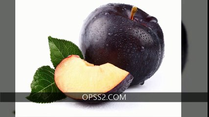 PLUM OPSS2.COM  오피쓰 대전오피 대전건마
