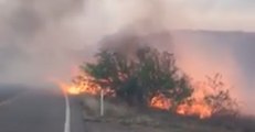 Arizona's Sawmill Fire Grows to 20,000 Acres Overnight
