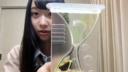 (161118) 阿部 芽唯（AKB48 チーム８） - SHOWROOM