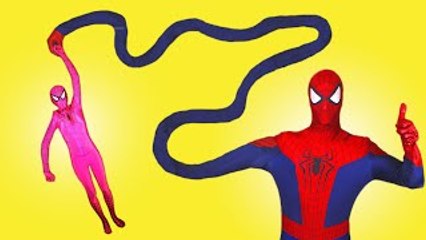 Spiderman Saves Pink Spidergirl! w/ Frozen Elsa & Anna, Joker & Candy! Superheroes In Real Life :)