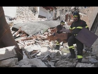 Скачать видео: Castelluccio di Norcia (PG) - Terremoto, recupero beni in attività commerciali (26.04.17)