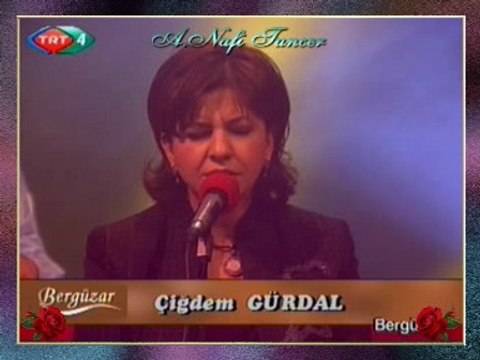 Çiğdem GÜRDAL - Yeşil Yaprak Arasında Kırmızı Gül Goncesi (2)