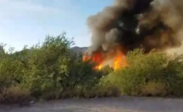 Arizona's Cactus Wildfire Shuts Down Bush Highway