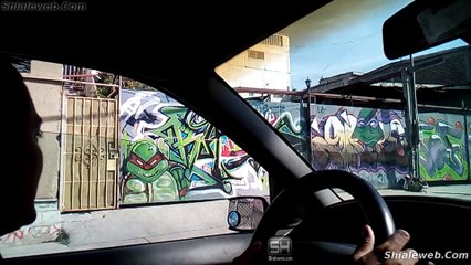 TRAYECTO Y CAMINO A LA MACROPLAZA 1 DE 3 + EN BUSCA DE ALIMENTO PARA PERROS Y GATOS