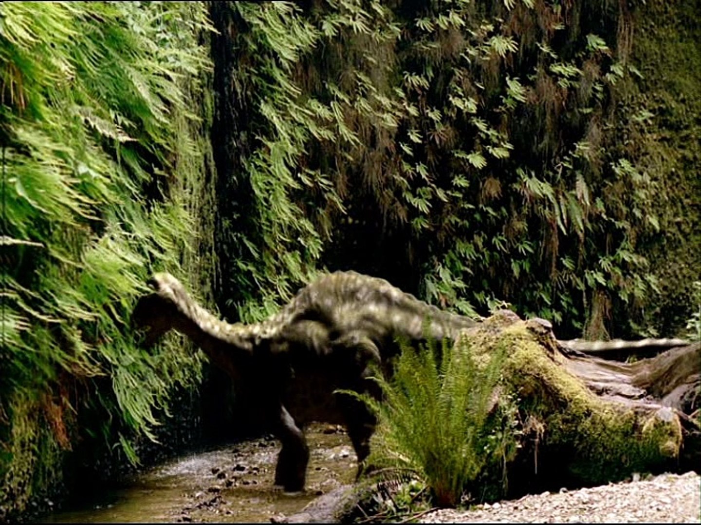 Caminando entre Dinosaurios - BBC (1999) de Anderson Montoya - Dailymotion