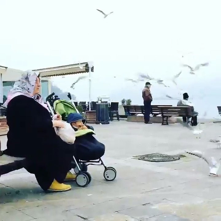 ساحل سارير في اسطنبول