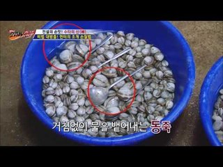 베테랑 헌터만의 조개 손질 꿀팁 대공개! [뉴 코리아 헌터] 21회 20161026