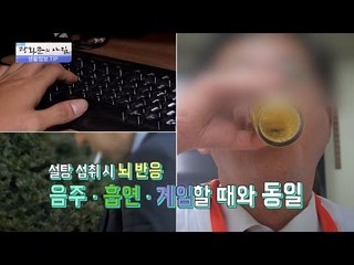 설탕 섭취 시 뇌 반응이 음주할 때와 동일? [광화문의 아침] 344회 20161026