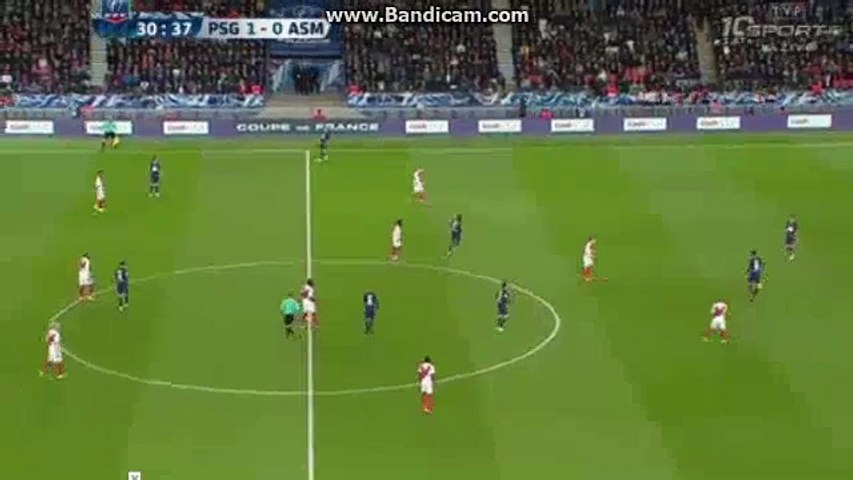 Edinson Cavani Goal HD - PSG 2-0 AS Monaco 26.04.2017 HD