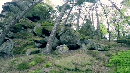 Balade au château du Haut-Barr