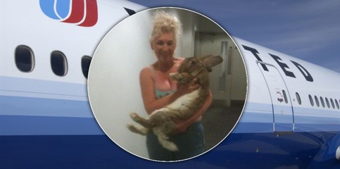 United Airlines Issues Statement After Giant Rabbit DIES On Flight To O&#039;Hare