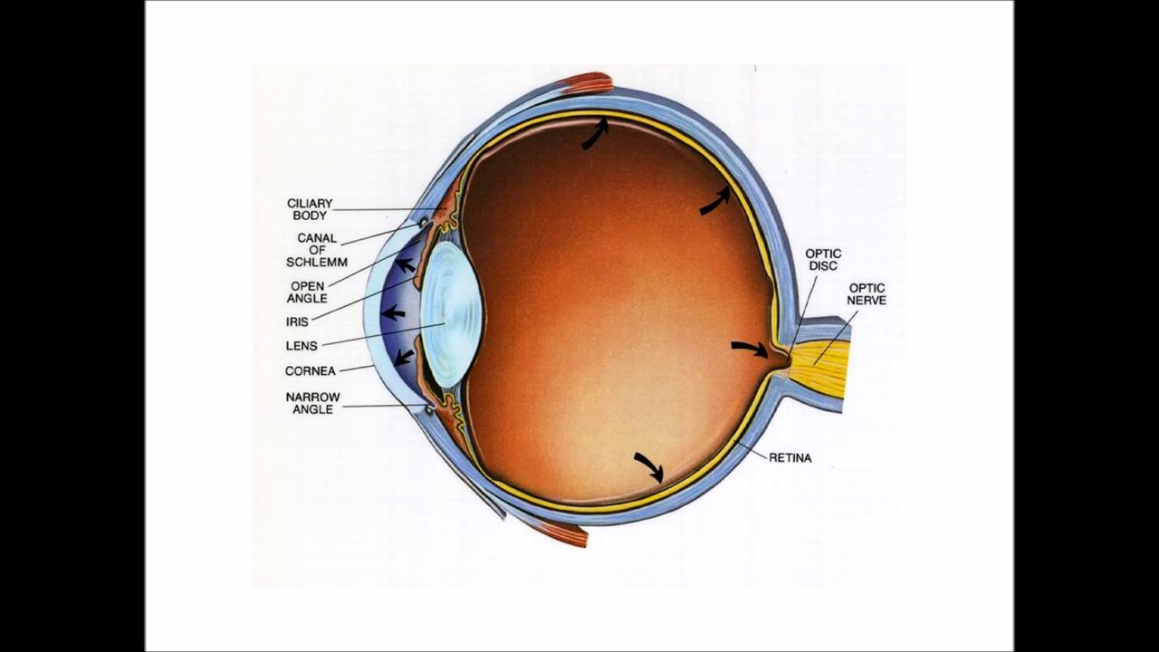 The Truth About Glaucoma