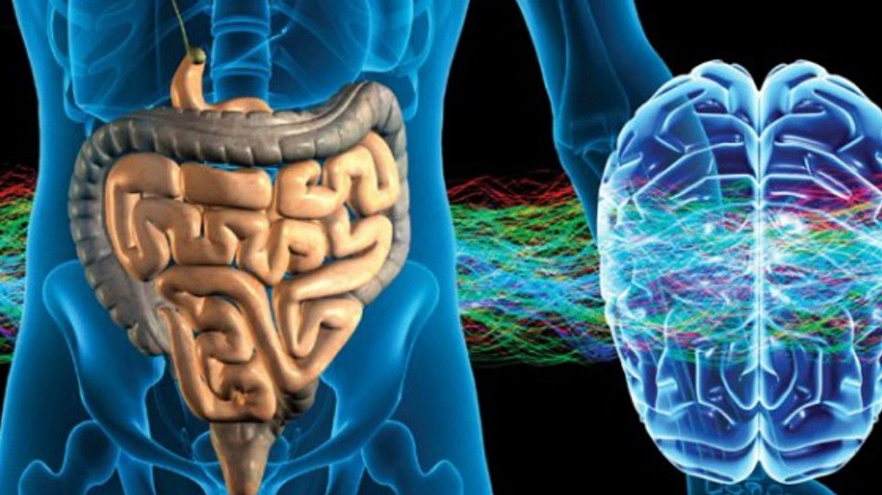 Tenemos un segundo cerebro y está en el estómago