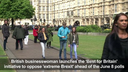 Pro-EU campaigner launches UK tactical voting drive