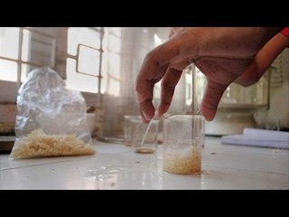 Supreme Court gives Mysore lab 8 weeks to submit Maggi report