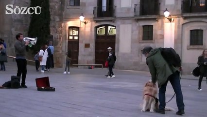 Sokak sanatçılarını sevmeyen köpek