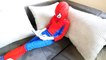 JOKER Steals MILKA CHOCOLATE! w_ Spiderman Superman Hulk Superheroes FUN in Real Life-zW