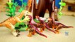 Playmobil Dinosaurs Deinonychus and Velociraptors Toys For Kids Building Set Build Review-w23kkUL