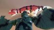Jurassic World Dinosaur Toys Opening - DIMORPHODON vs CERATOSAURUS Dinosaurs Toy Review-j5UxpAY1