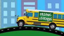 Learning Colors for Toddlers - Learn Colours Street Vehicles, School Buses, Big Rig Trucks for Kids-vP