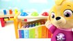 Learn Colors Pounding Toys Xylophone Finger Family Song Nursery Rhymes Body Paint Balls Colours-et71vkpk