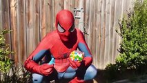 Spidergirl Pranks Spiderman! Bubble Gum Poo Toilet Prank! Bad Baby Joker Spiderbaby Superhero Fun!-LB2lfyAsj