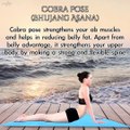 yoga poses to reduce belly fat.