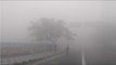 Fog engulfs Delhi NCR; Traffic disrupted, flights and trains delayed  , Watch Video