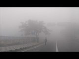 Fog engulfs Delhi NCR; Traffic disrupted, flights and trains delayed  , Watch Video