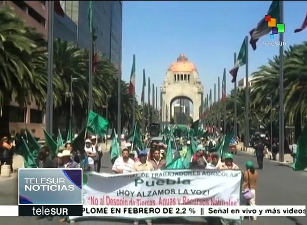 Campesinos mexicanos exigen a gob. cesar agresión contra Venezuela