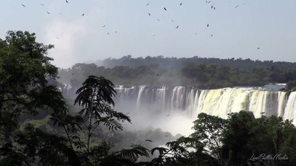 リラクゼーションやDormiのための自然の音滝や家禽ノイズ（ホワイトノイズ） part 1/4