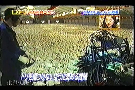 世界のドキュメンタリー映画Best3（14）