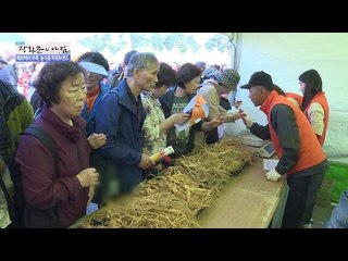 인삼의 파워! 볼거리 많은 인삼축제현장! [광화문의 아침] 341회 20161021