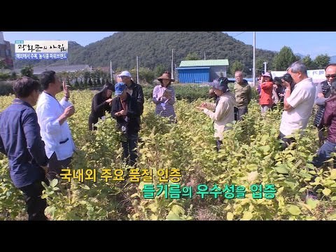 해외에서 주목하는 들깨! [광화문의 아침] 341회 20161021